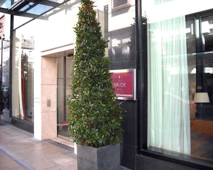 Limerick Junction The Savoy Hotel מראה חיצוני תמונה A bay laurel tree